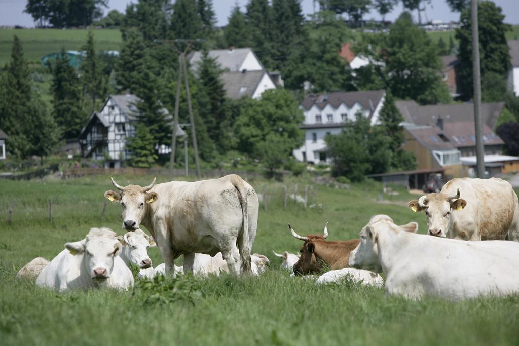 Schultenhof Balve Exteriör bild